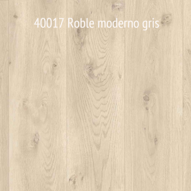 40017 Roble moderno gris