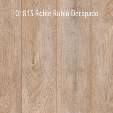 01813- Roble Rubio Decapado