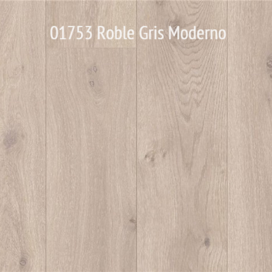 01753 Roble Gris Moderno