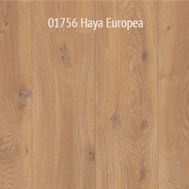 01756 Haya Europea
